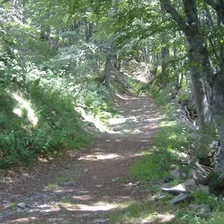Renove Au Lioran, 6 Pers, Proche Pistes *